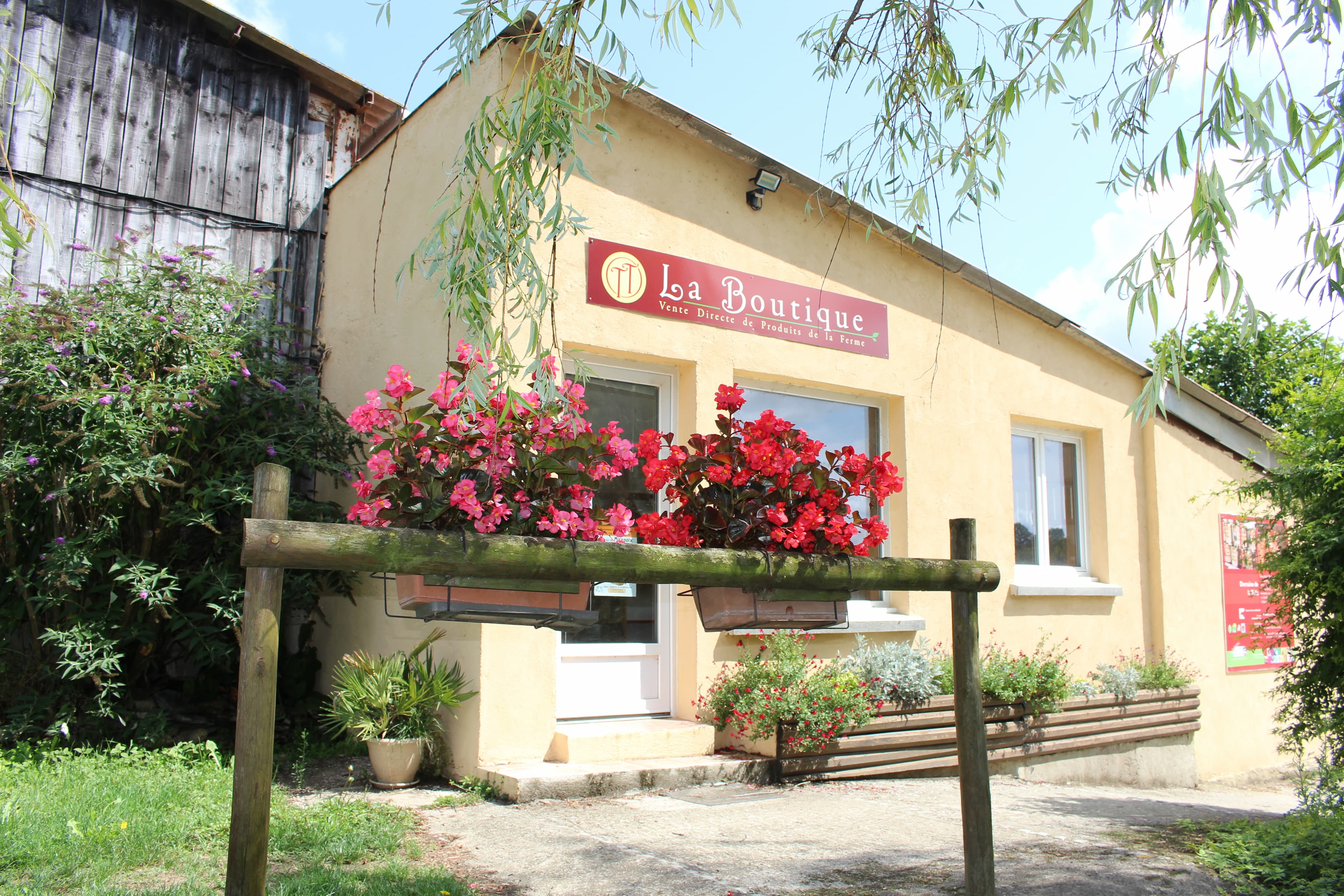 Viande de limousine en colis